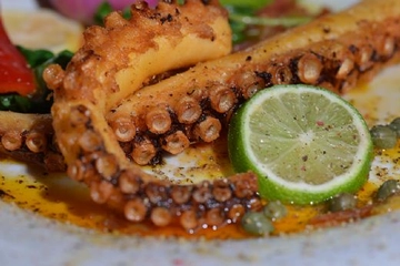 Ahtapot Bacağı Özellikleri